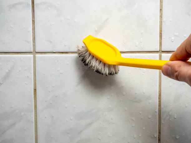 Professional Mold Removal in Vega, TX