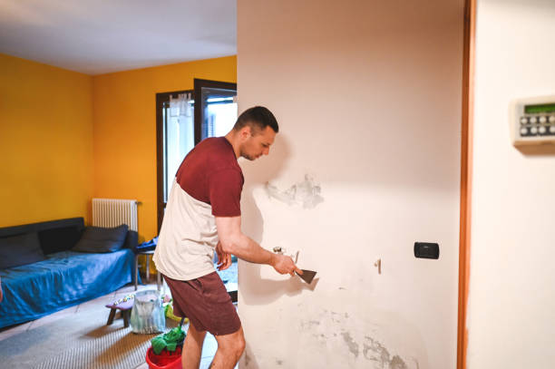 Best Emergency Mold Removal  in Vega, TX